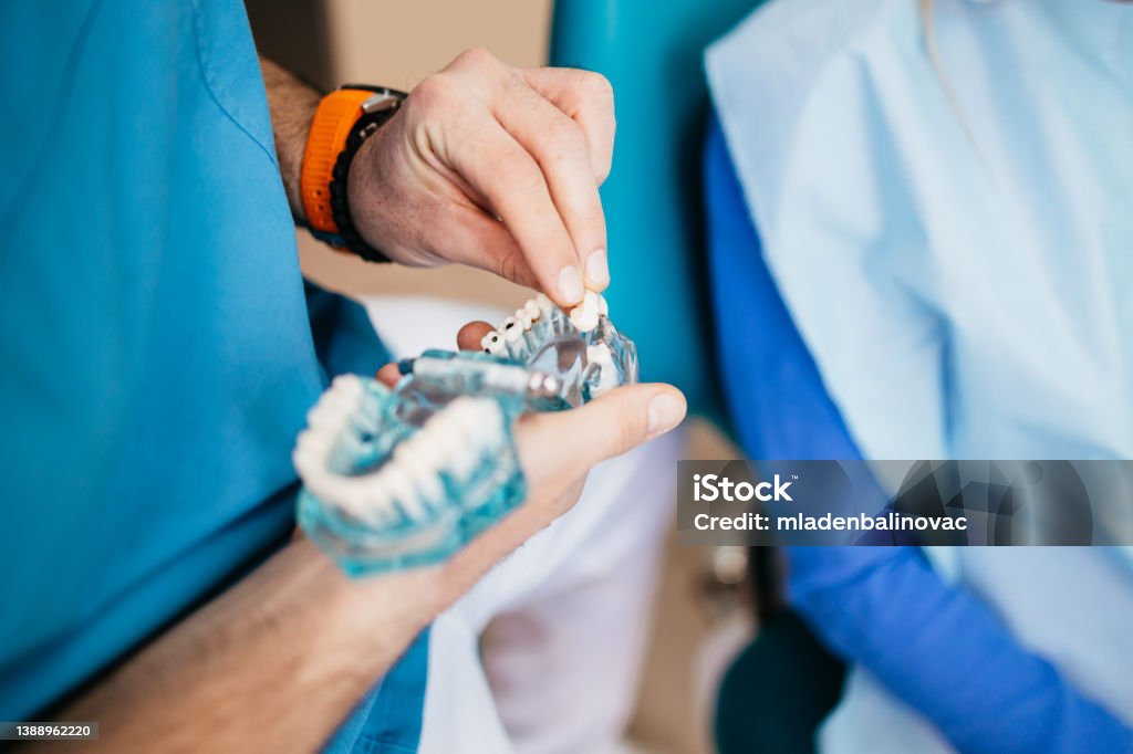 The professional dentist is holding dentures in his hands. Dental prosthesis in the hands of the doctor close-up. Dentistry conceptual photo. Prosthetic dentistry.